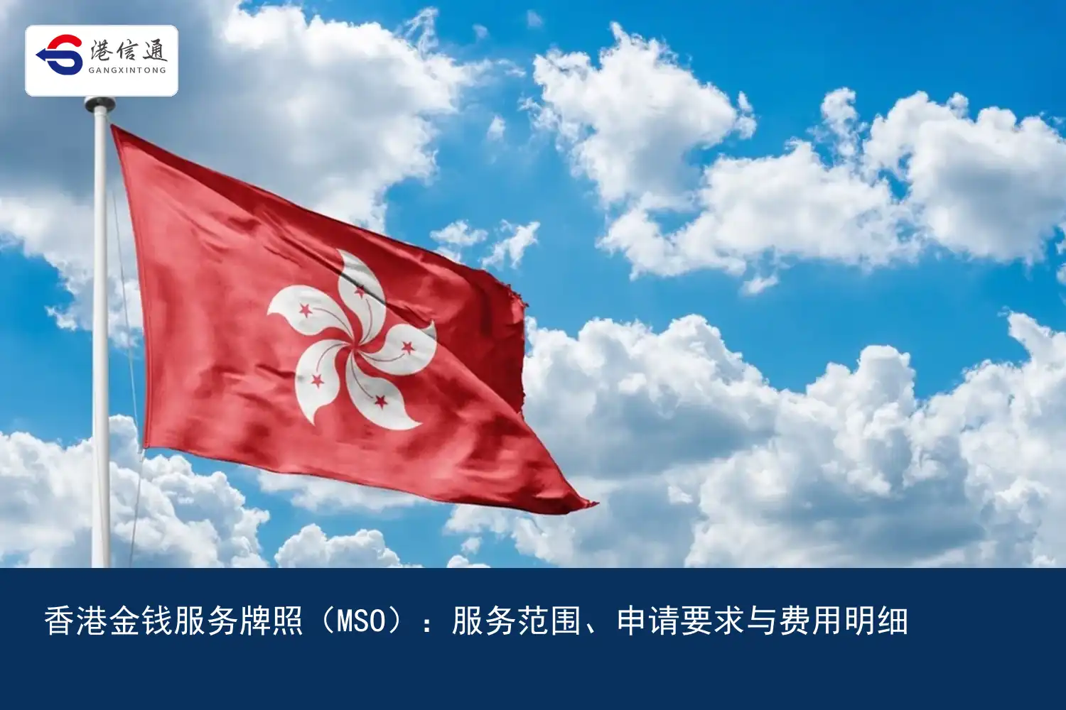 香港金钱服务牌照（MSO）：服务范围、申请要求与费用明细｜港信通金融合规服务