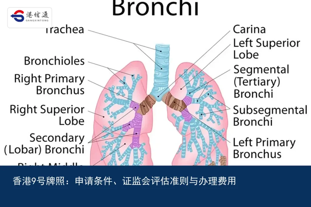 香港9号牌照：申请条件、证监会评估准则与办理费用｜港信通金融合规服务