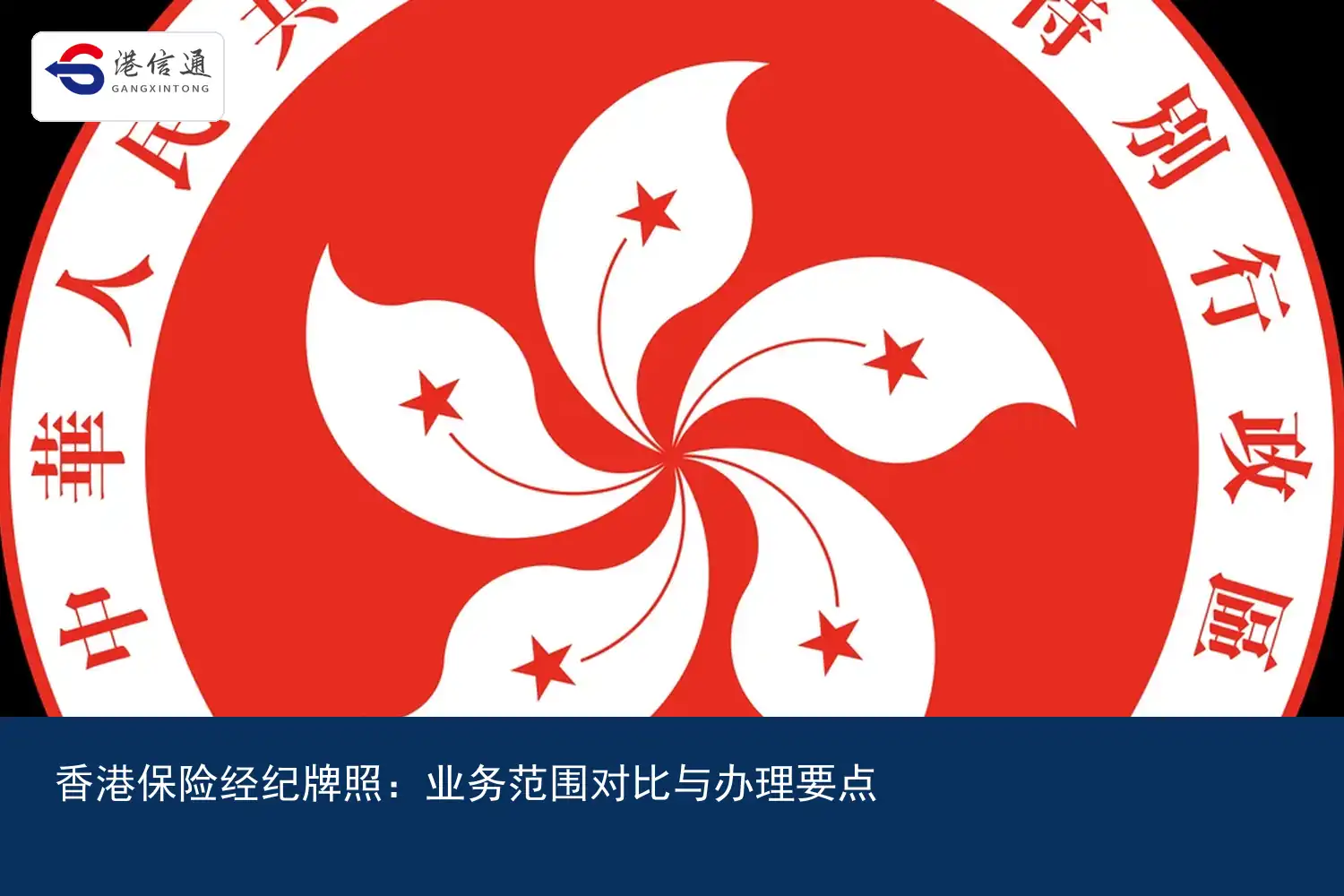 香港保险经纪牌照：业务范围对比与办理要点｜港信通金融合规服务