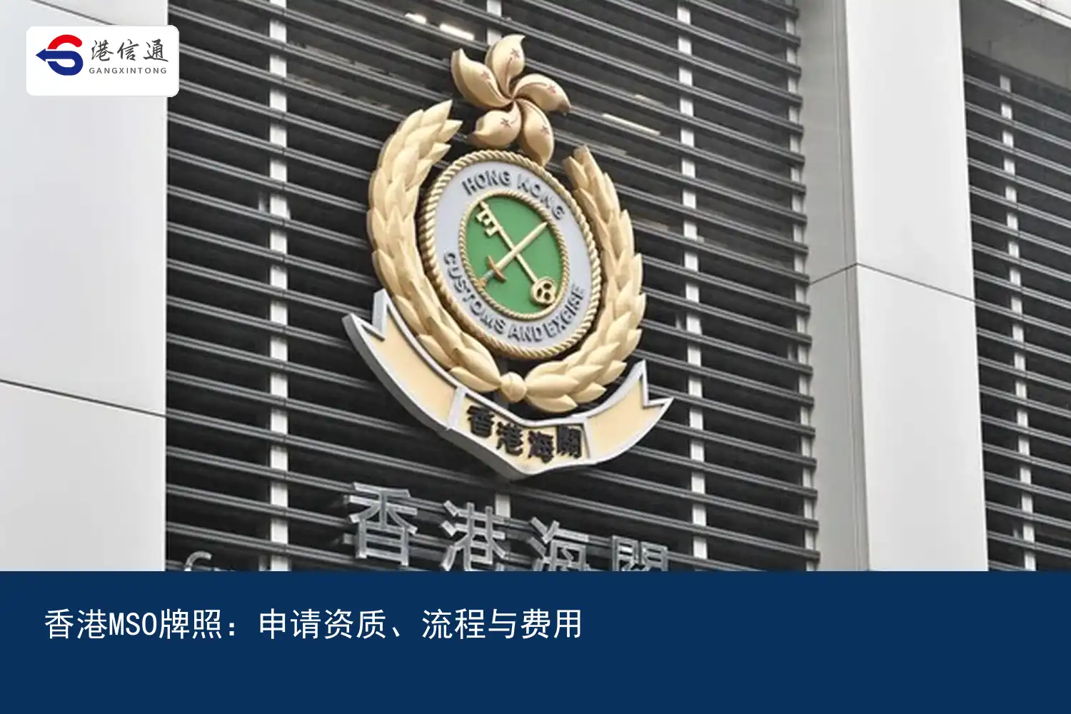 Hong Kong MSO License：Application qualifications、Process and Fees｜Hong Kong Xintong Financial Compliance Services