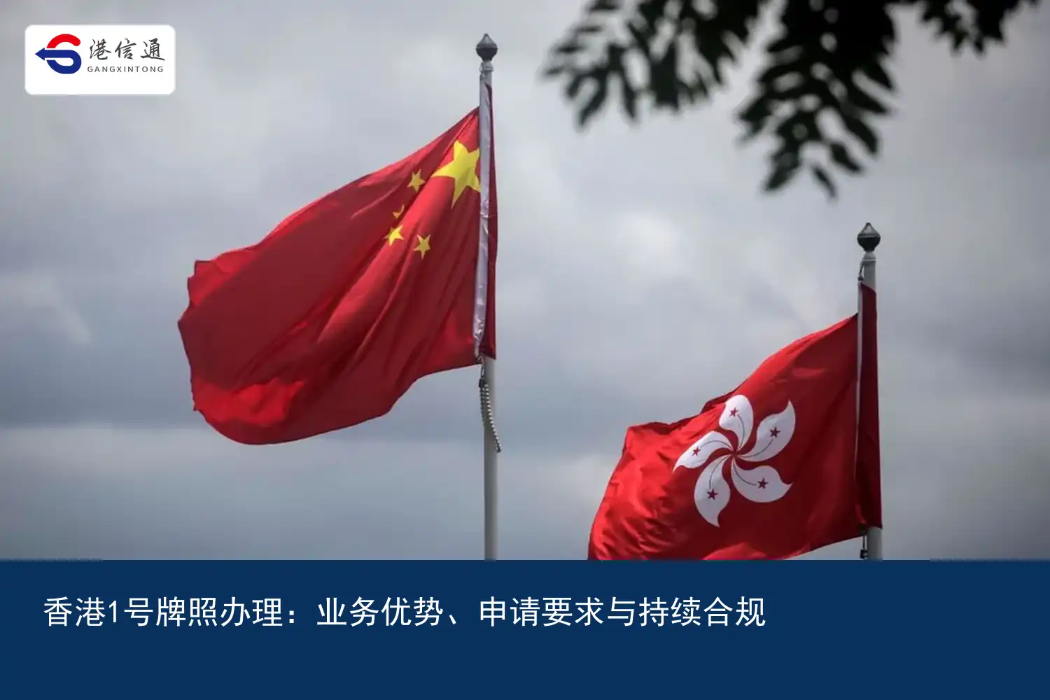香港1号牌照办理：业务优势、申请要求与持续合规｜港信通金融合规服务
